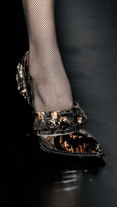 туфли 2013 туфли 2013 roberto cavalli
